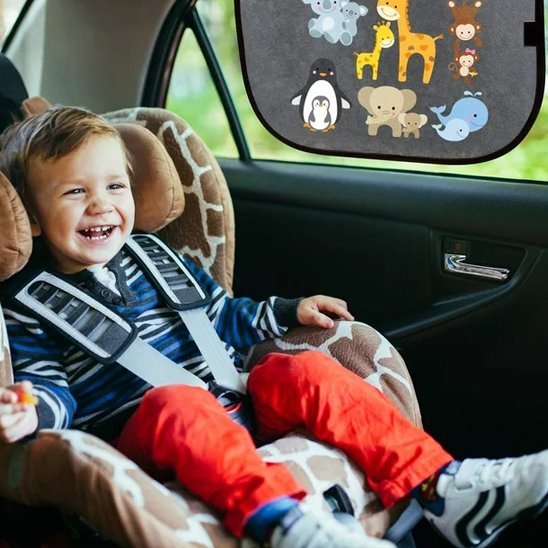 Pare soleil voiture | Protect - Havre Bébé